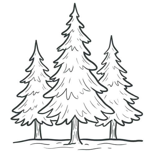 Thoughtfully sourced materials